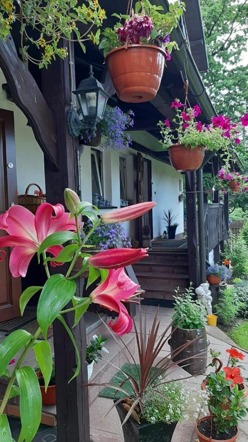 Ferienwohnung Pokoj W Karpaczu Exterior foto